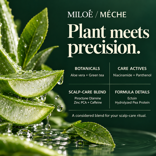 Miloé Méche Anti-Hairfall Shampoo 200ml | Caffeine, Niacinamide & Scalp Care
