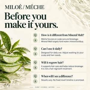 Miloé Méche Anti-Hairfall Shampoo 200ml | Caffeine, Niacinamide & Scalp Care